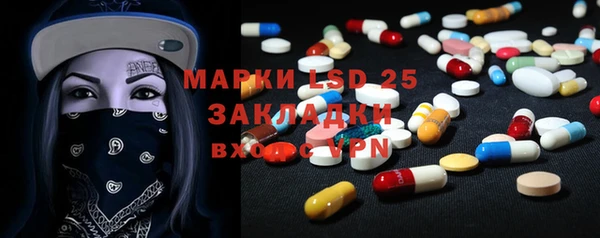 крисы Алзамай