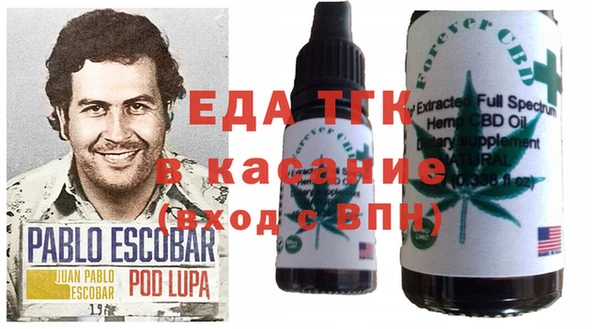 метадон Алексин