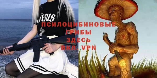 крисы Алзамай