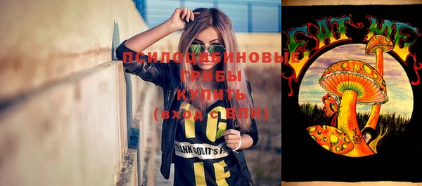 крисы Алзамай