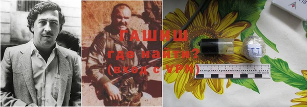 крисы Алзамай